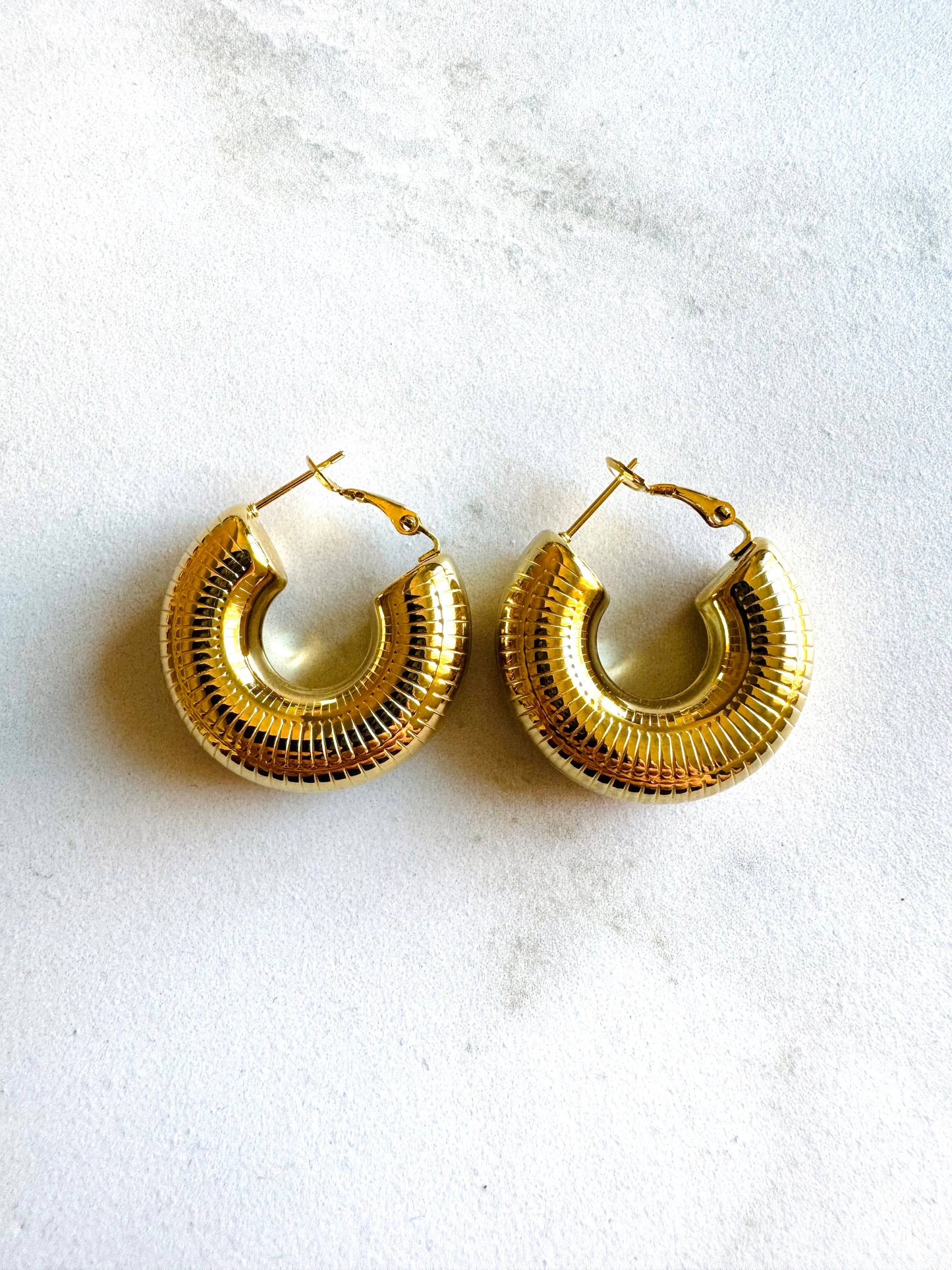 Alberca Stainless Steel Hoop Earrings