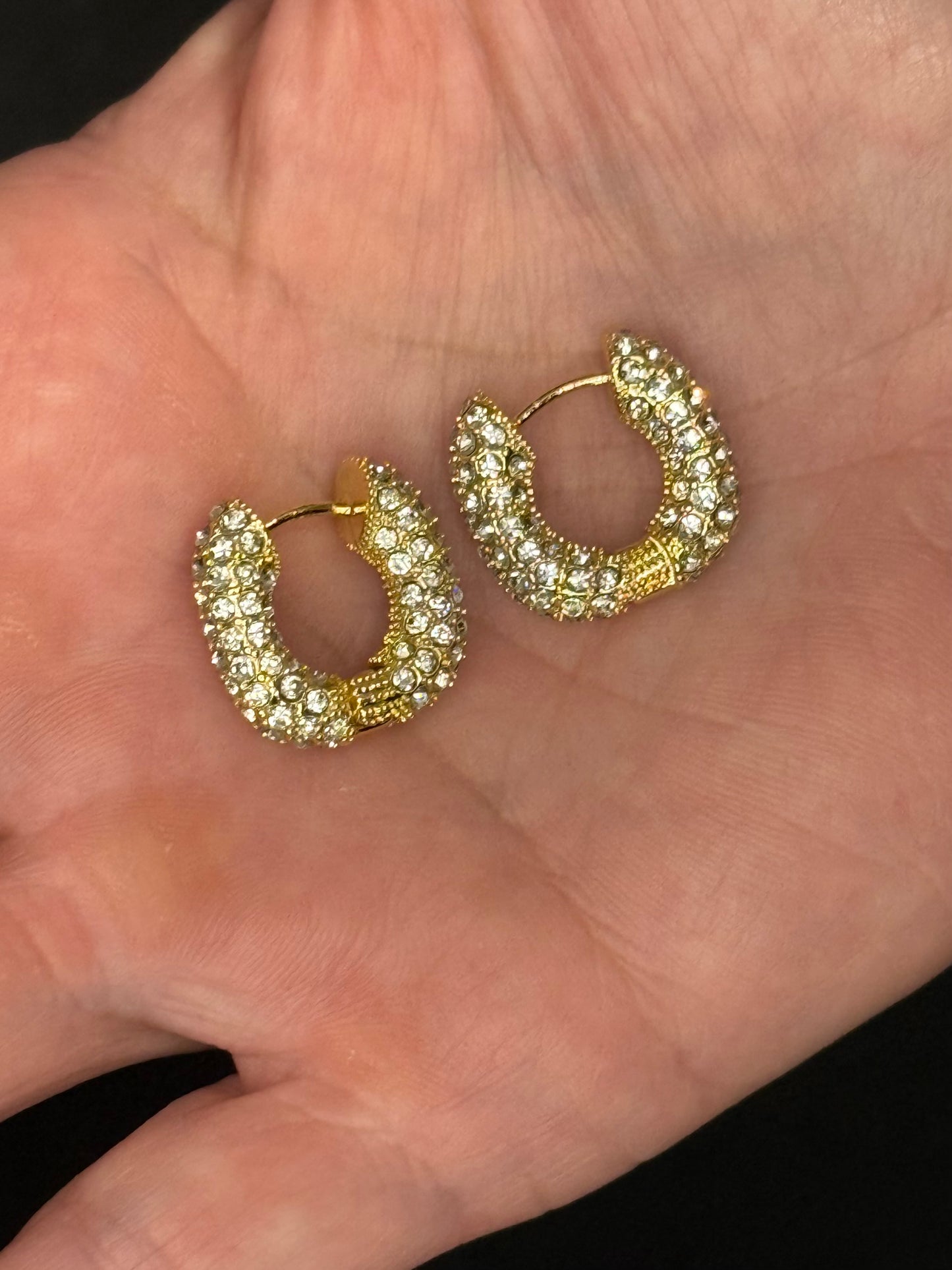 Golden Radiance Earrings