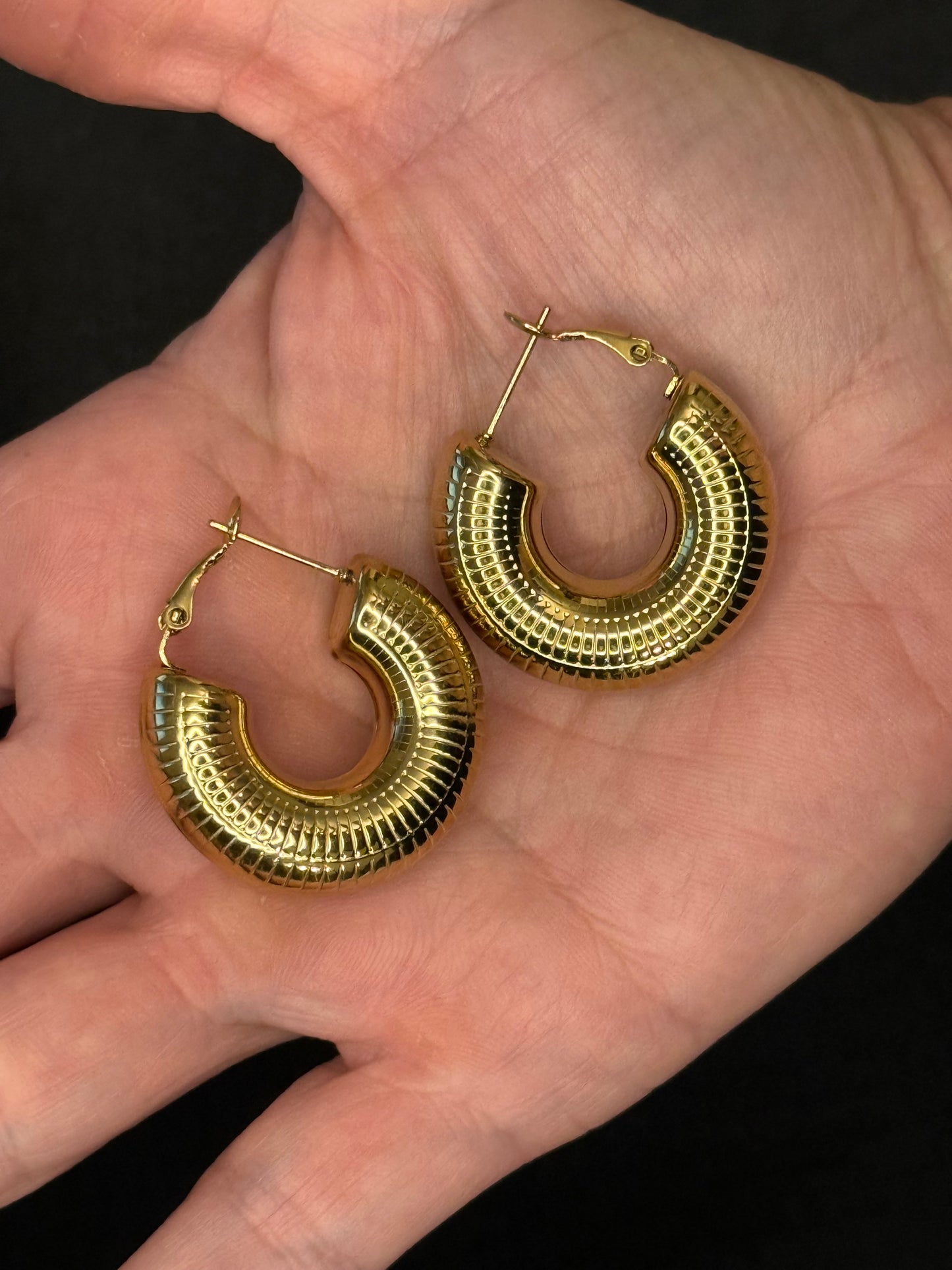 Alberca Stainless Steel Hoop Earrings
