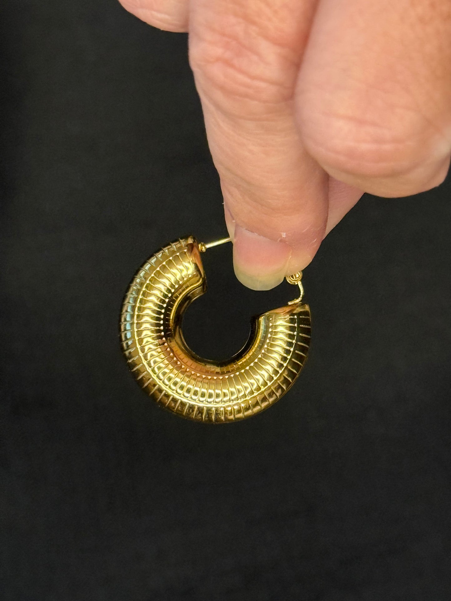 Alberca Stainless Steel Hoop Earrings