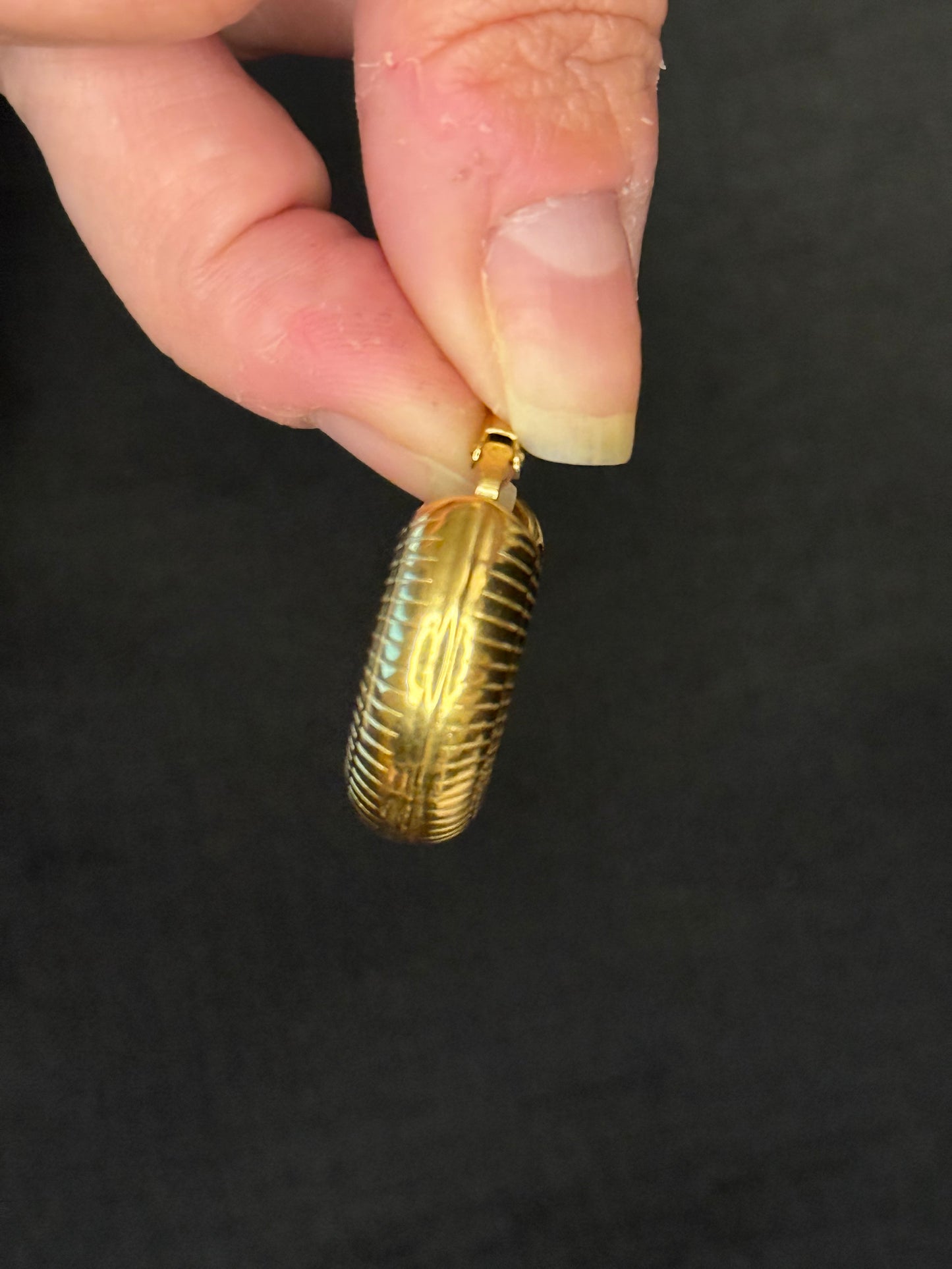 Alberca Stainless Steel Hoop Earrings