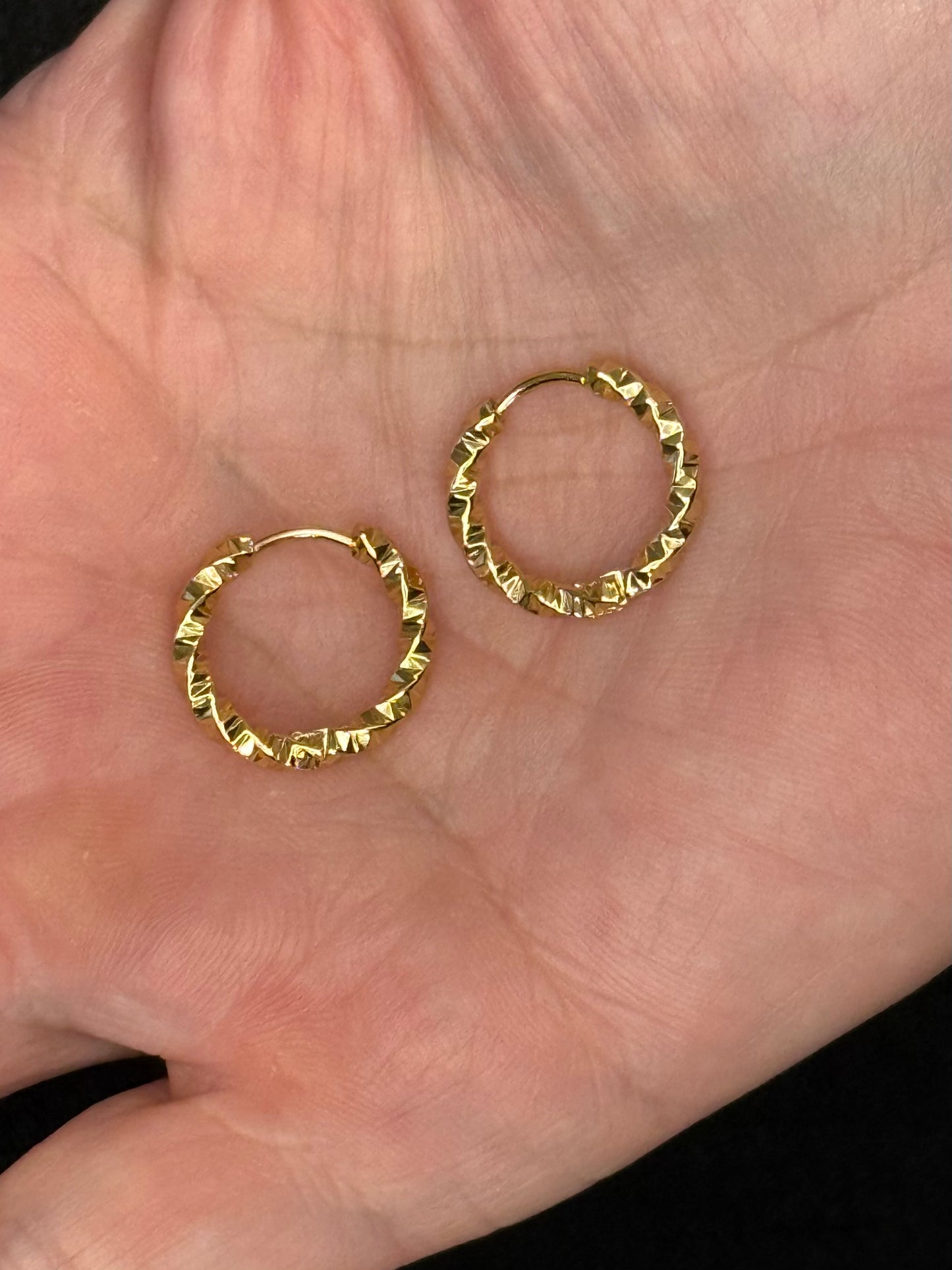 Nelly Stainless Steel Hoop Earrings (Gold or Silver)