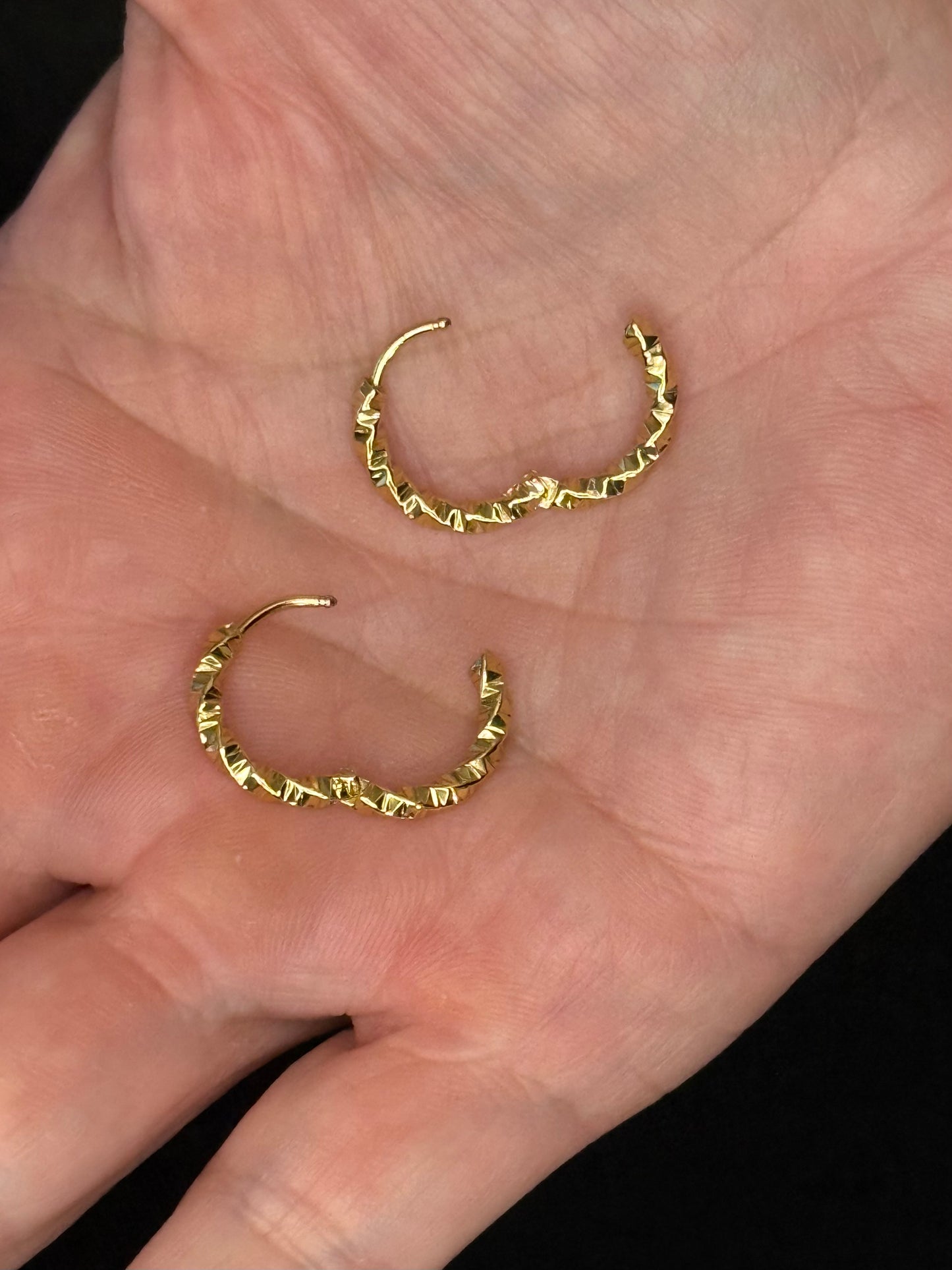 Nelly Stainless Steel Hoop Earrings (Gold or Silver)