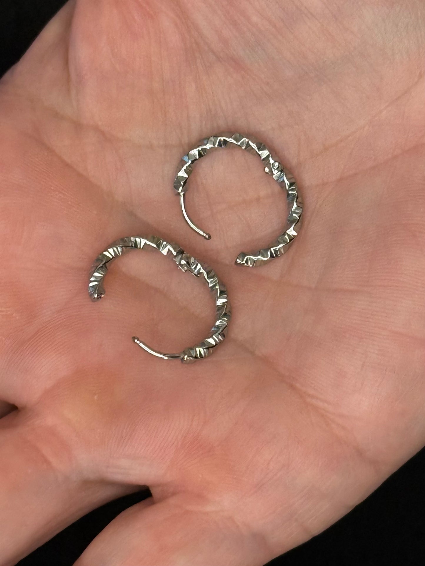 Nelly Stainless Steel Hoop Earrings (Gold or Silver)