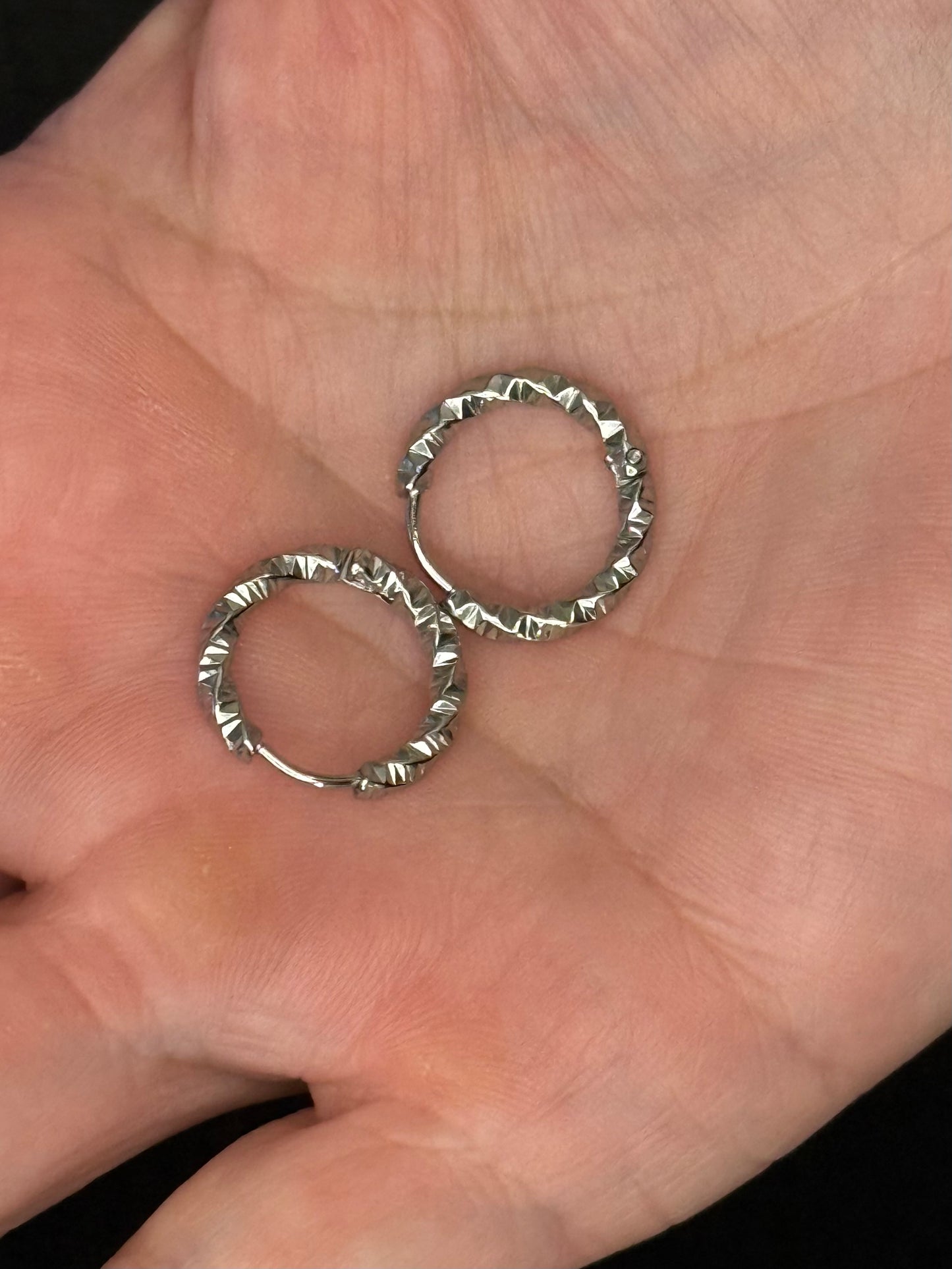 Nelly Stainless Steel Hoop Earrings (Gold or Silver)